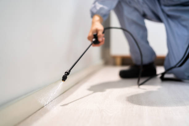 Best Commercial Pest Control Services  in Ten Mile Run, NJ