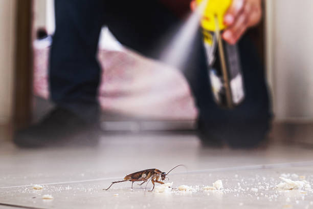 Best Pest Removal Services  in Ten Mile Run, NJ